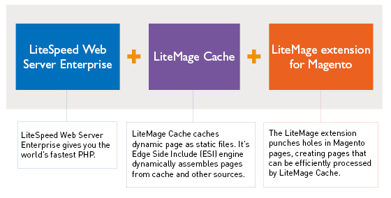 litemage_component